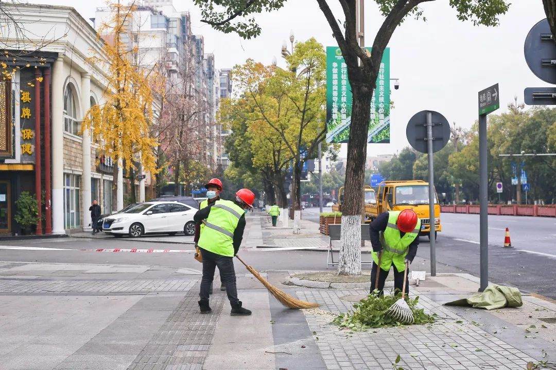 园林绿化养护清理树枝