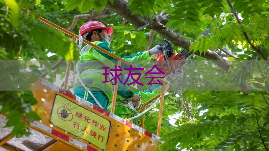 建瓯市园林绿化公司