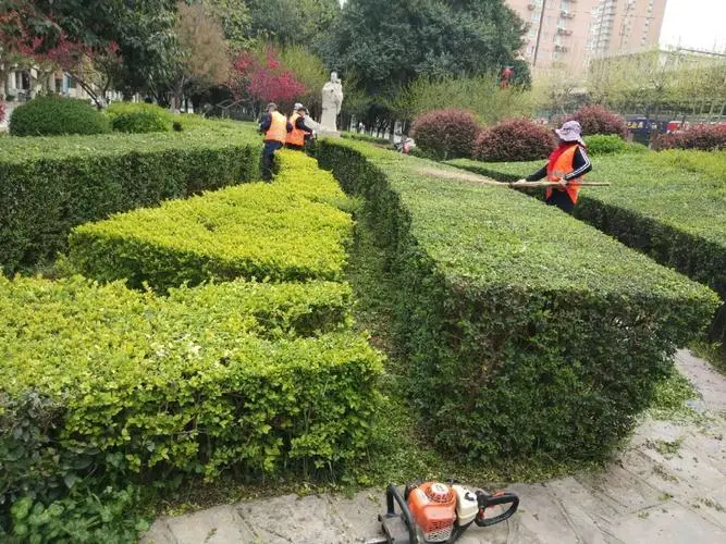 绿化工程如何提高城市的社交互动和社区凝聚力？