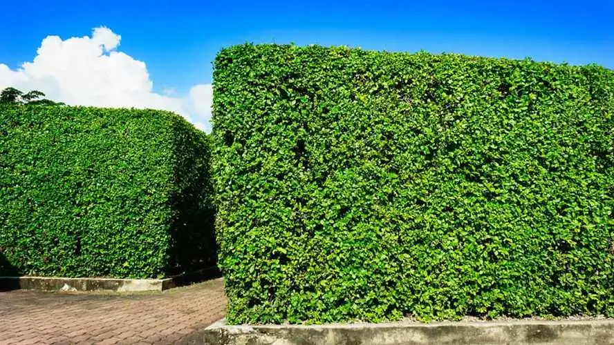 喷浆边坡绿化工程量计算 喷浆边坡绿化工程量计算